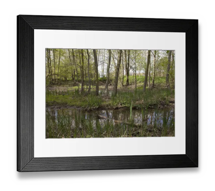 Framed Print : Nature reserve Lippeaue, Lippe River floodplains