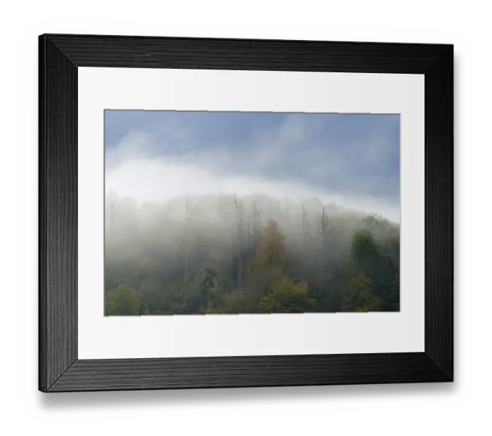 Framed Print : Autumnal mixed forest with rising fog Framed Print : Autumnal mixed forest with rising fog
