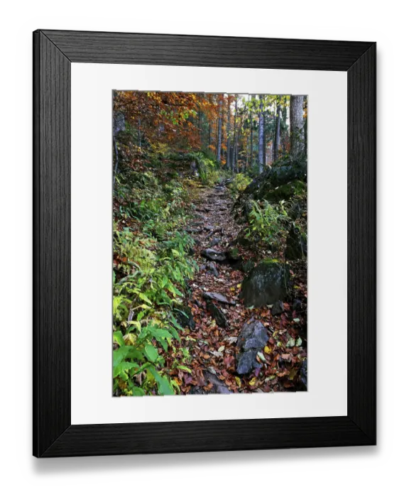 Framed Print : Falkenstein, National Park Bavarian Forest Framed Print : Falkenstein, National Park Bavarian Forest