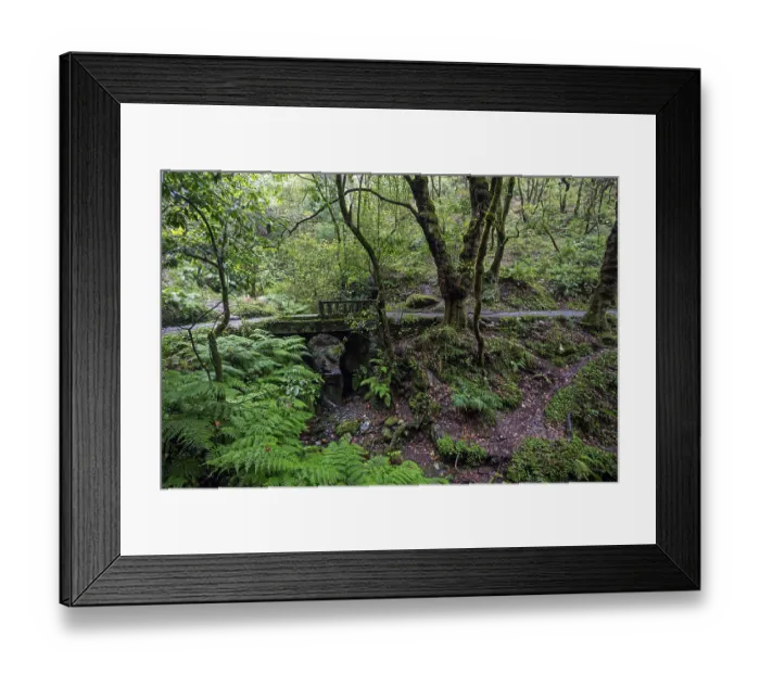 Framed Print : PR11 Vereda dos Balcoes hiking trail through laurel forest to the Miradouro Balcoes viewpoint Framed Print : PR11 Vereda dos Balcoes hiking trail through laurel forest to the Miradouro Balcoes viewpoint
