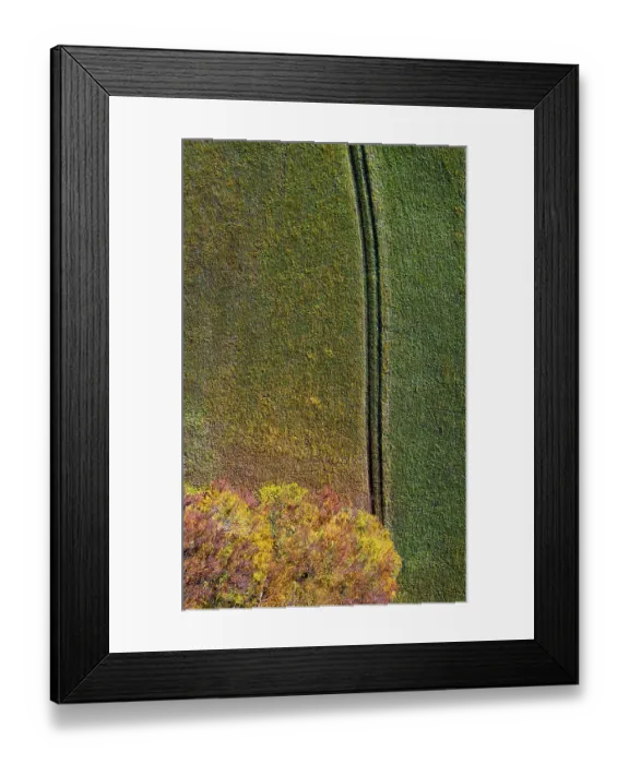 Framed Print : Autumnally discoloured deciduous forest with field path