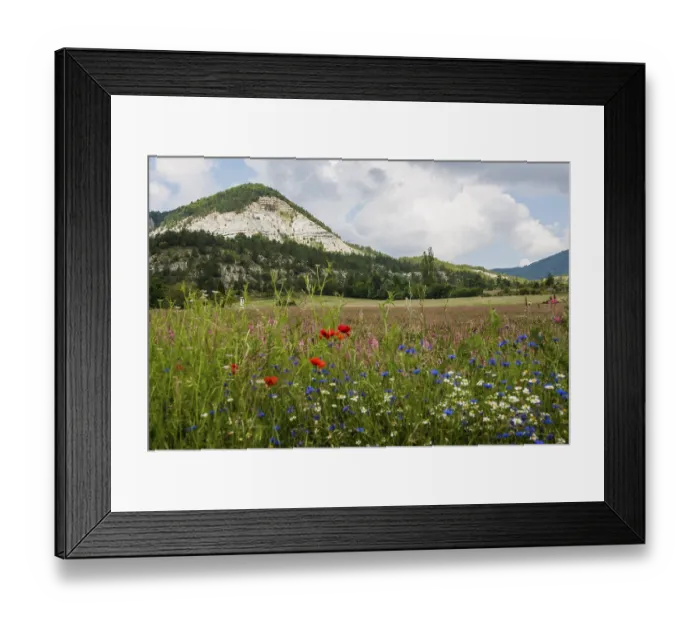 Framed Print : Flower meadow and mountains, near Montbrun-les-Bains