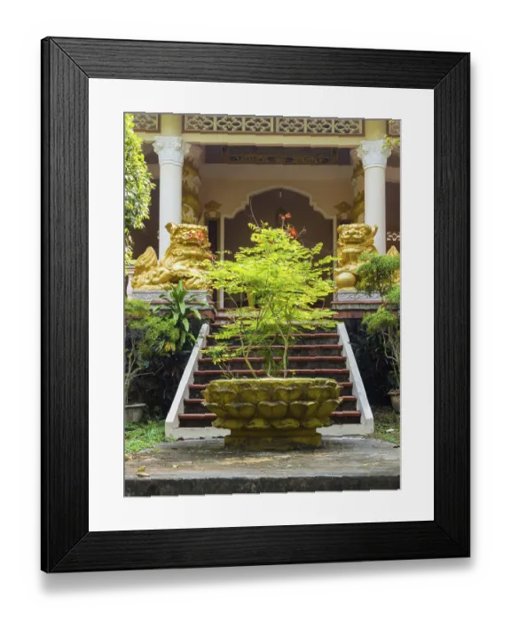 Framed Print : A small bright green tree in front of a Buddhist temple