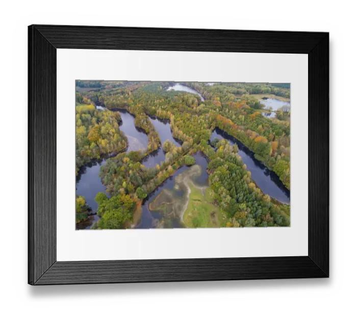 Framed Print : Mixed forest in autumn, colouring