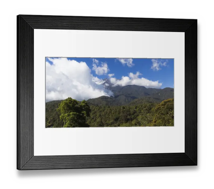 Framed Print : Top of the mountain in the national park / Malaysia Framed Print : Top of the mountain in the national park / Malaysia
