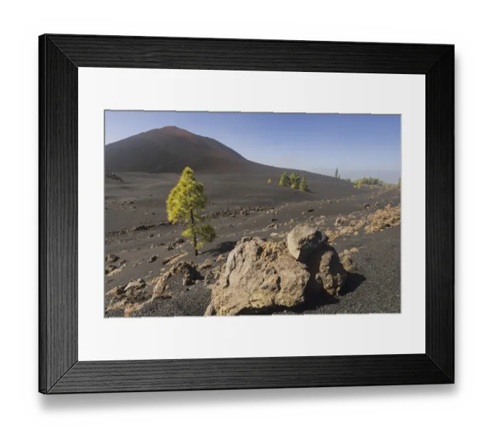 Framed Print : Chinyero volcano, Arena Negras zone Framed Print : Chinyero volcano, Arena Negras zone