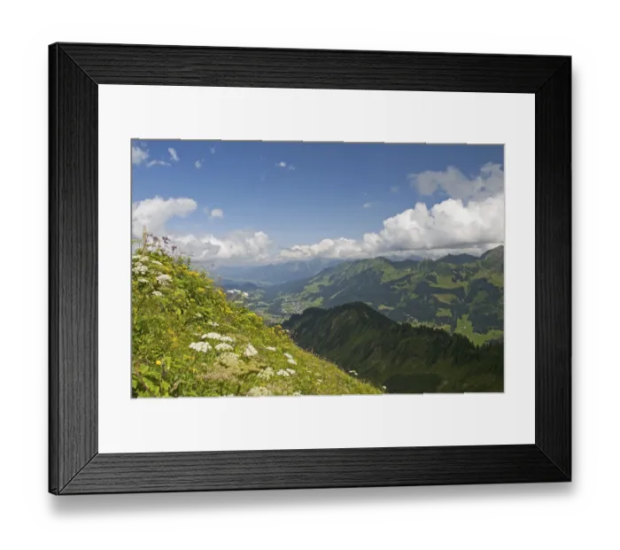 Framed Print : Panorama from the Walmendinger Horn