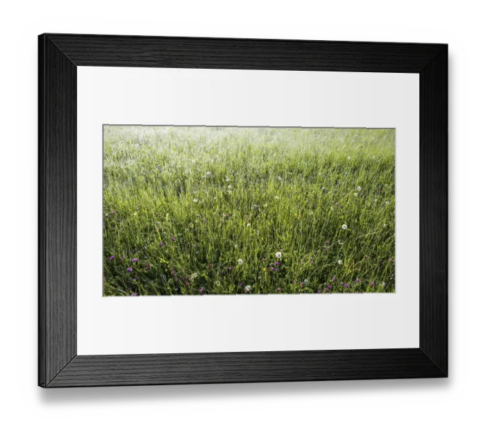 Framed Print : Alpine meadow, Lorettowiesen near Oberstdorf