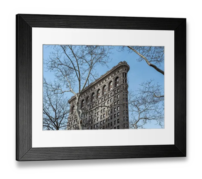 Framed Print : Tree and Flatiron Building, Manhattan