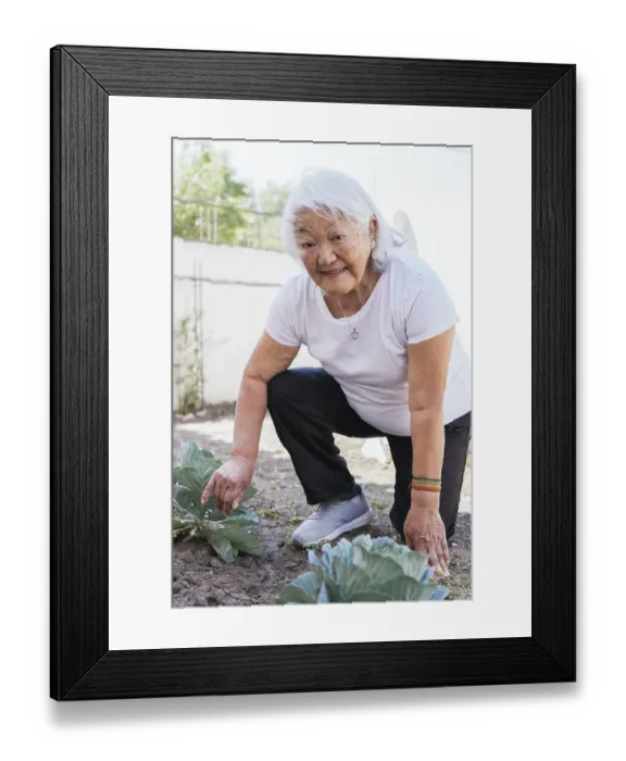 Framed Print : Asian retired elderly woman gardening in back garden