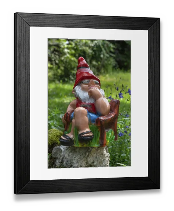 Framed Print : Sitting garden gnome in a garden Framed Print : Sitting garden gnome in a garden