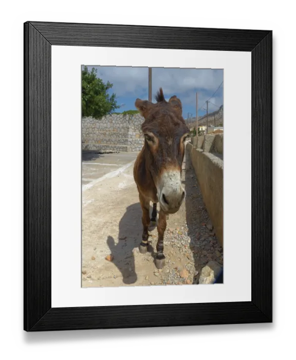 Framed Print : A donkey standing on a road next to a stone wall on a sunny day