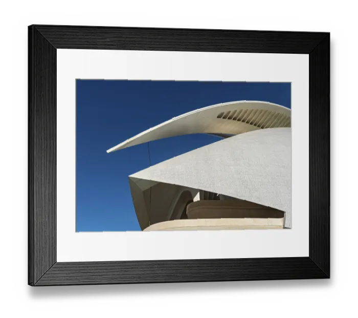 Framed Print : Palace of the Arts, Palau de les Arts Reina Sofia Framed Print : Palace of the Arts, Palau de les Arts Reina Sofia