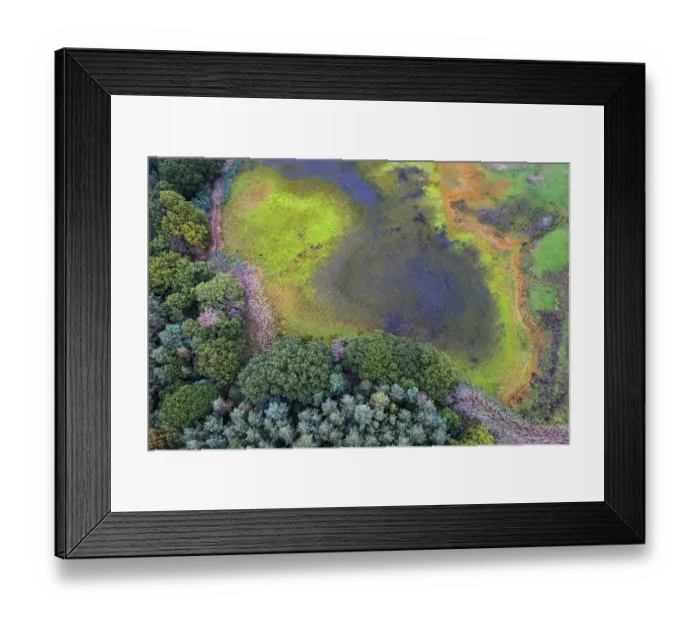 Framed Print : Mixed forest in autumn, colouring Framed Print : Mixed forest in autumn, colouring