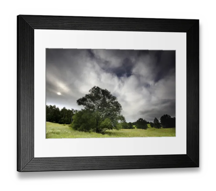 Framed Print : Tree at the Kolonnenweg, hiking trail through meadows and forests Framed Print : Tree at the Kolonnenweg, hiking trail through meadows and forests