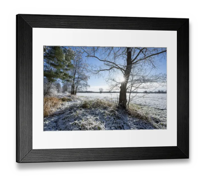 Framed Print : Snow, forest edge in winter, Barnbruch nature reserve