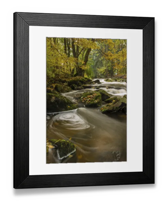 Framed Print : Brook in autumn, Blockheide-Gmuend Nature Park