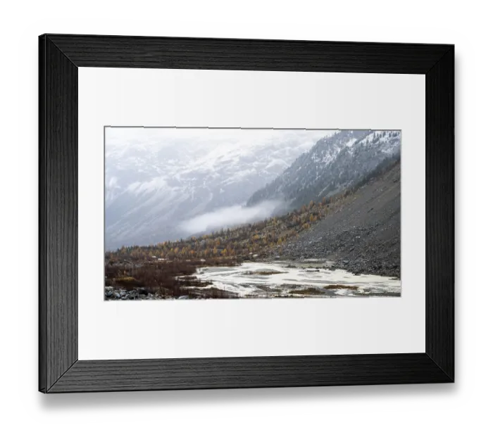 Framed Print : Autumn larch forest in Val Morteratsch