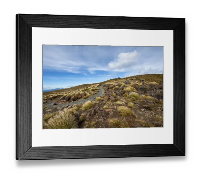 Framed Print : Hiking trail, Kepler Track, Great Walk Framed Print : Hiking trail, Kepler Track, Great Walk