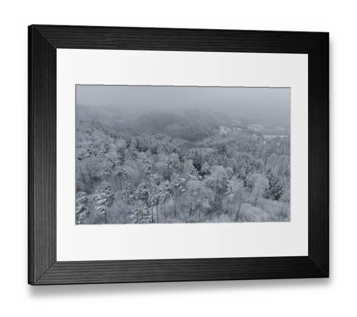 Framed Print : Snow-covered forest shrouded in mist