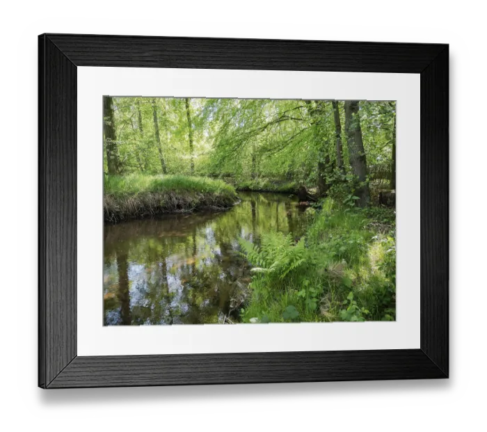 Framed Print : Stream and floodplain of the Dalke with alder forest in spring