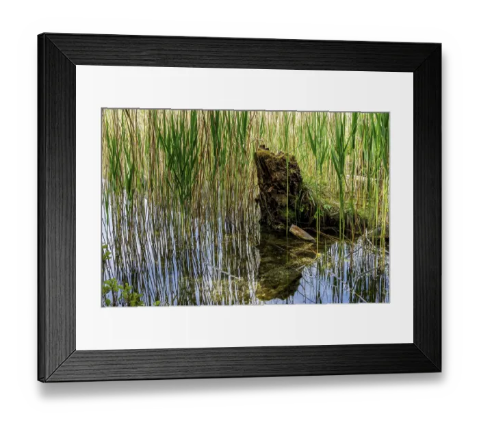 Framed Print : Landscape at Lake Thumsee, Bad Reichenhall Framed Print : Landscape at Lake Thumsee, Bad Reichenhall