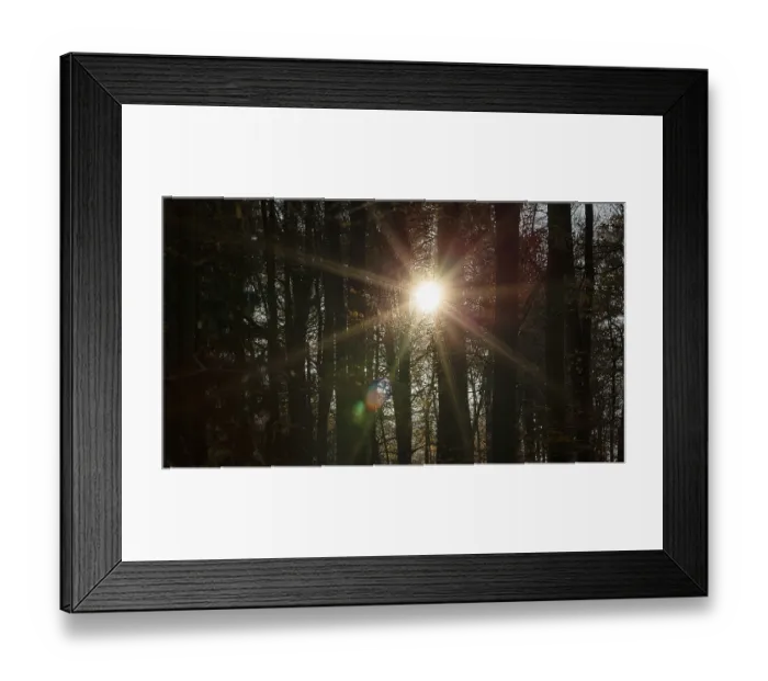 Framed Print : Sunbeams shine through autumnal beech forest