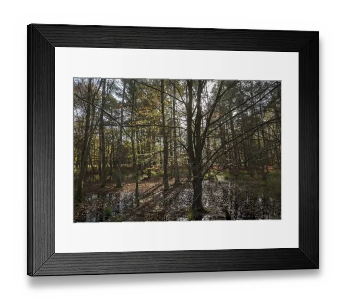 Framed Print : Moorland landscape with autumnal trees in the Osterwald