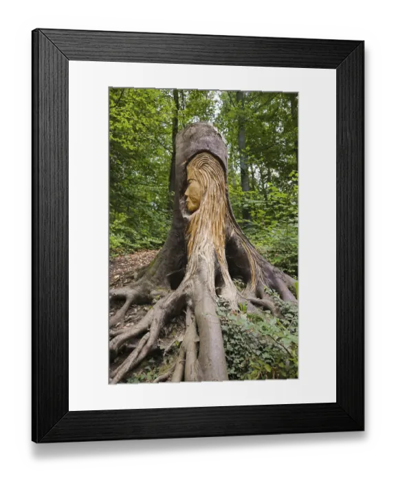 Framed Print : Pfullinger Sagenweg, the face of the Urschel