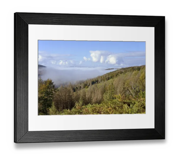 Framed Print : View over autumnal mixed forest and mountain heights as fog rolls