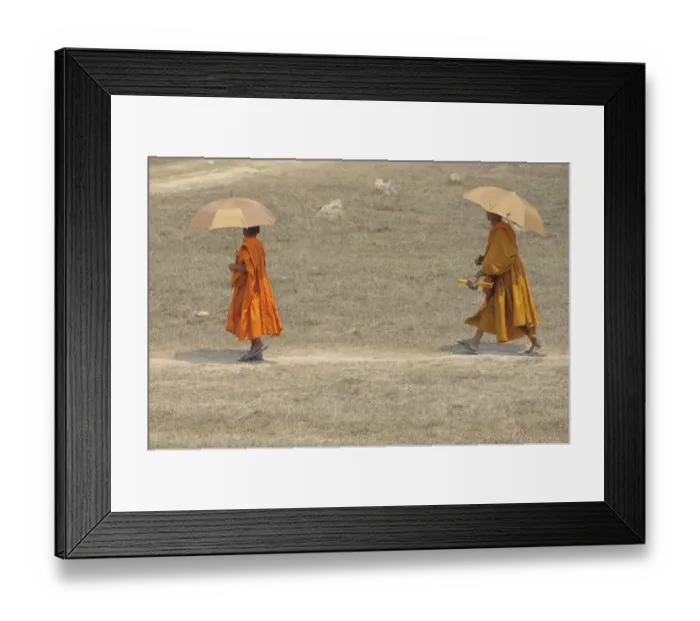 Framed Print : Novice and a monk with sunshades, Cambodia, Asia Framed Print : Novice and a monk with sunshades, Cambodia, Asia
