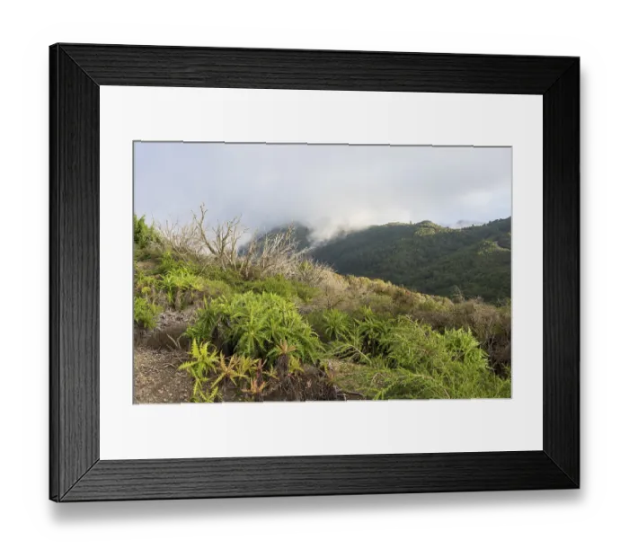 Framed Print : Hiking trail to the highest point of the island