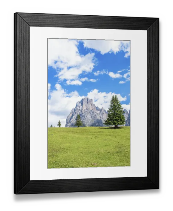 Framed Print : Spruce tree on a alp meadow below the Langkofel group mountains in the Doliomites