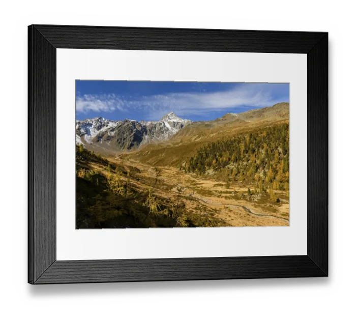 Framed Print : Autumn valley with stream and larches (Larix) Framed Print : Autumn valley with stream and larches (Larix)