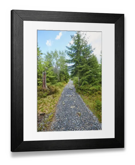 Framed Print : Hiking trail to Mount Lusen in late summer