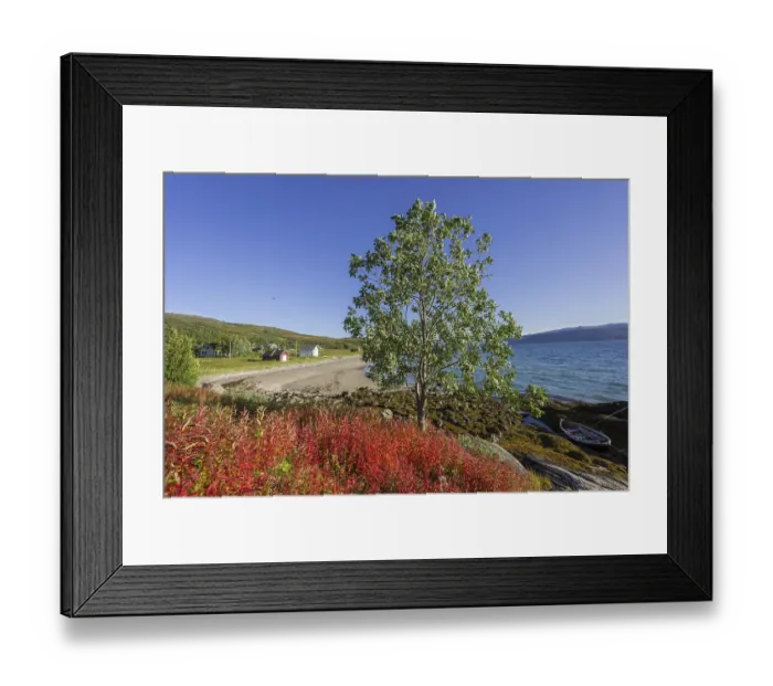 Framed Print : Boat in Gamvika cove, Willowherbs in autumnal colouration at the front Framed Print : Boat in Gamvika cove, Willowherbs in autumnal colouration at the front