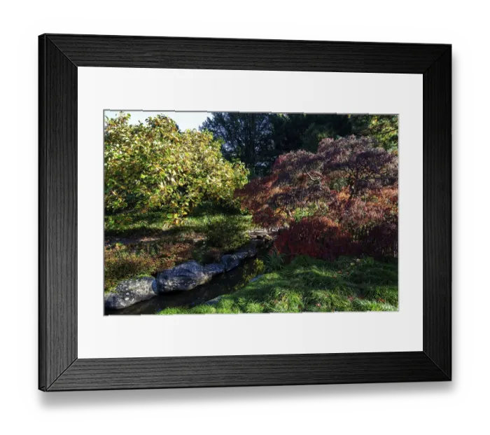 Framed Print : Plants in autumn colours, Japanese Garden Framed Print : Plants in autumn colours, Japanese Garden