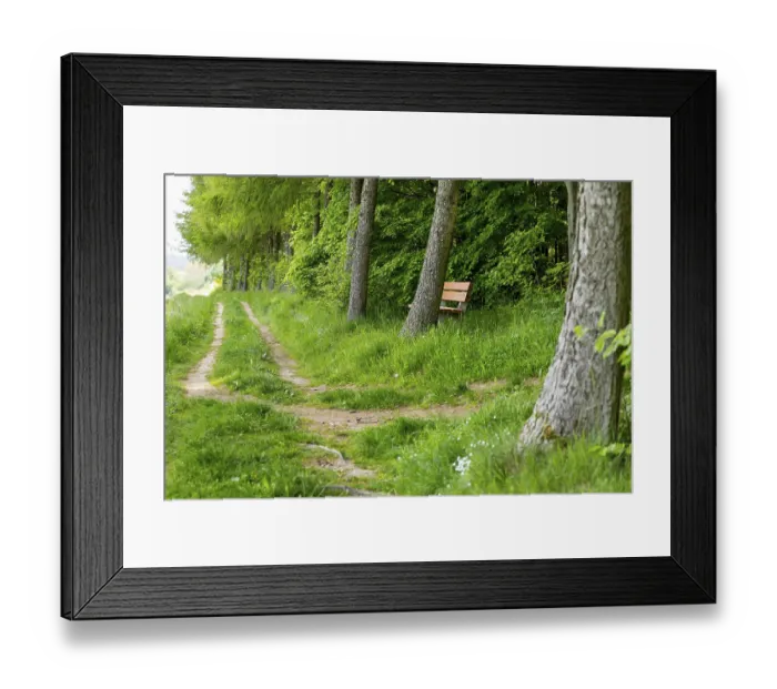Framed Print : Hiking trail at the edge of a forest with bench for resting Framed Print : Hiking trail at the edge of a forest with bench for resting