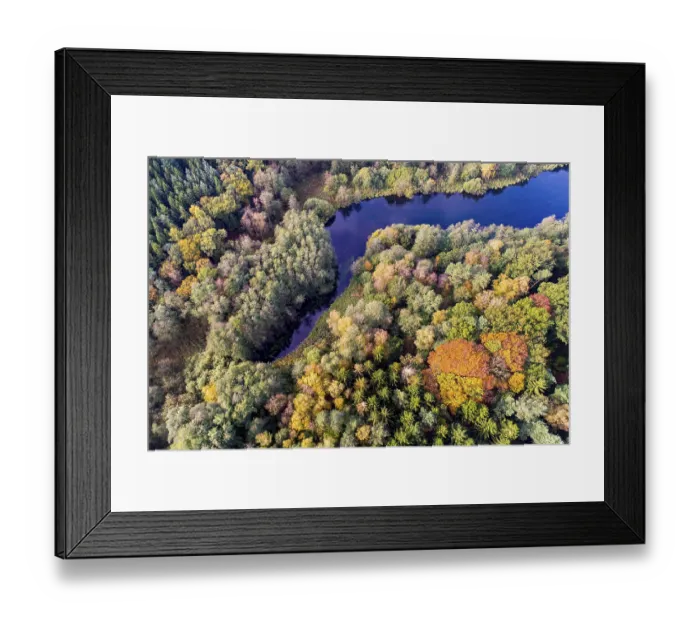 Framed Print : Mixed forest in autumn, colouring