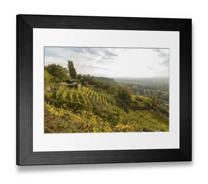 Framed Print : In the autumn-coloured vineyards of the Goldener Wagen steep slope with guardian's house