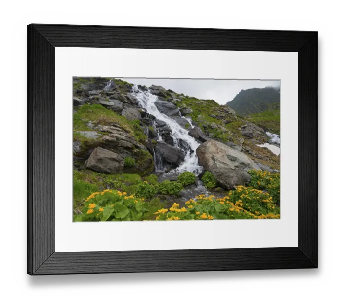 Framed Print : A small waterfall flows over boulders in a green