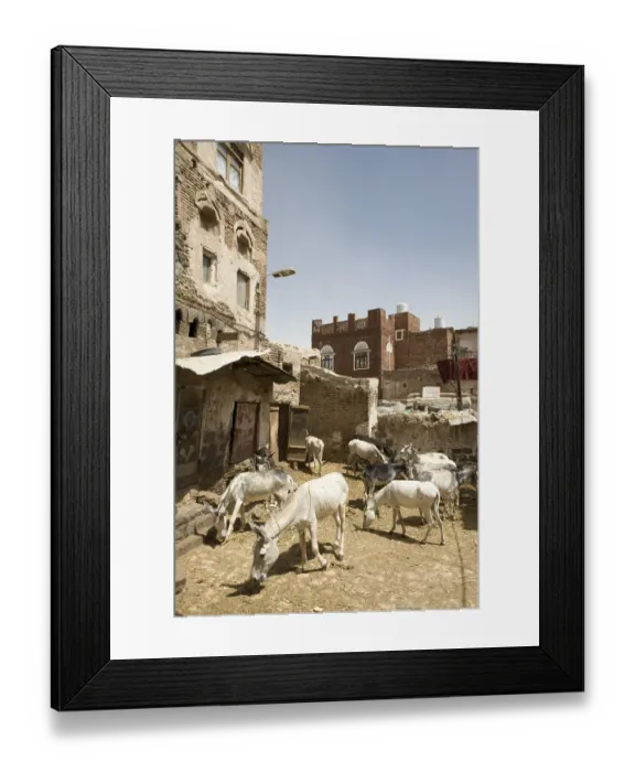 Framed Print : Donkey market, Sana