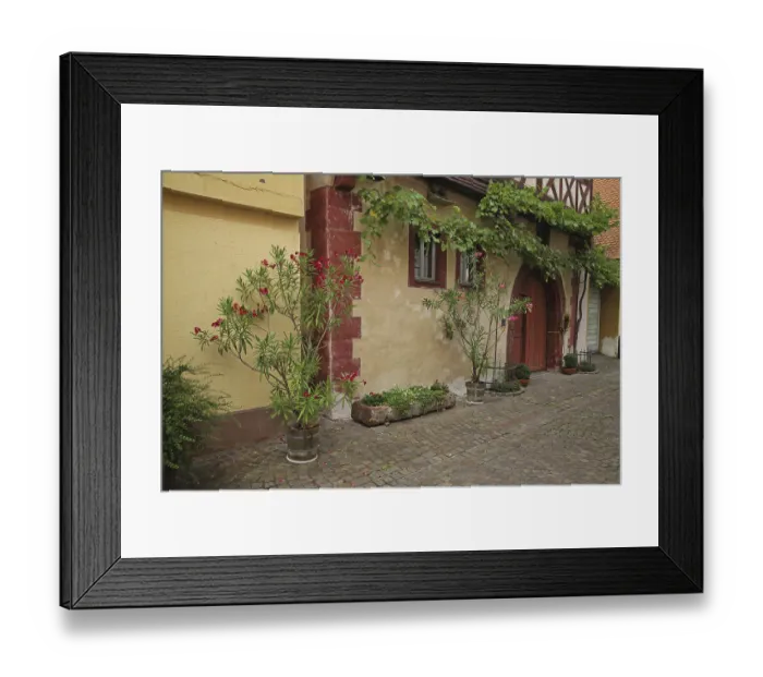 Framed Print : Half-timbered house with flower decoration and grapevine
