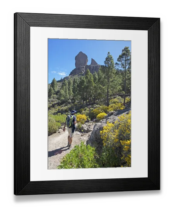 Framed Print : Hikers in the Parque Rural del Nublo