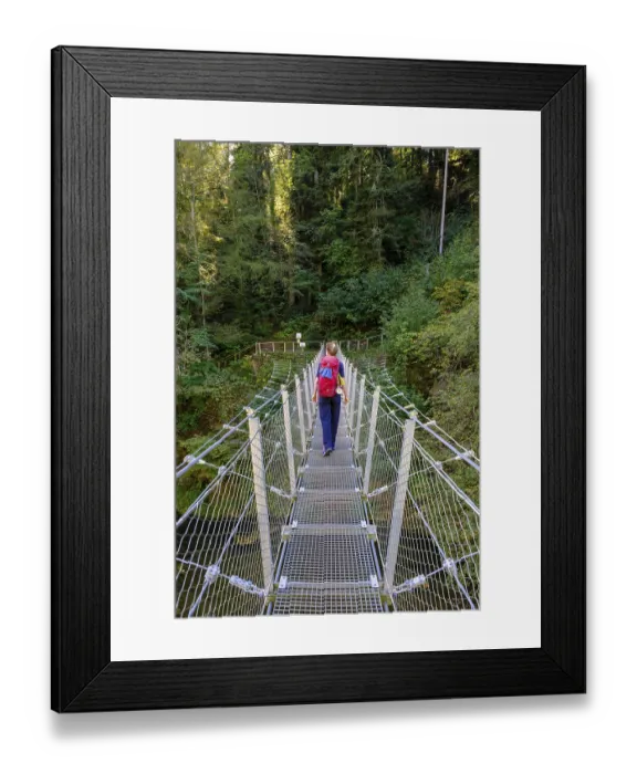 Framed Print : Hikers at the suspension bridge over the Danube