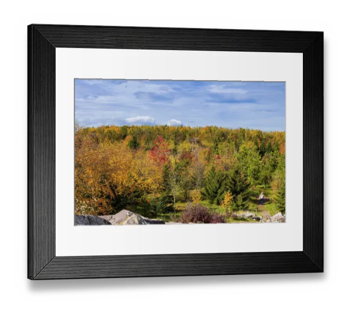 Framed Print : The Forest Botanical Garden Tharandt is an institution of the Technical University of Dresden Framed Print : The Forest Botanical Garden Tharandt is an institution of the Technical University of Dresden