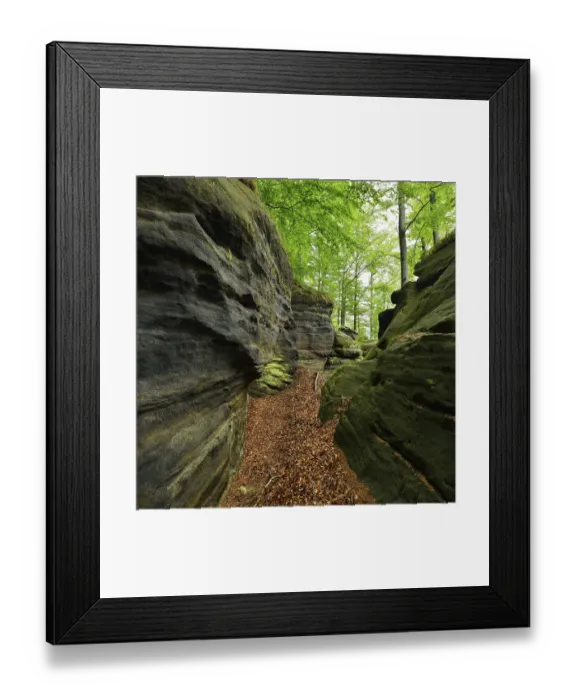 Framed Print : Large sandstone rocks in the beech forest Framed Print : Large sandstone rocks in the beech forest