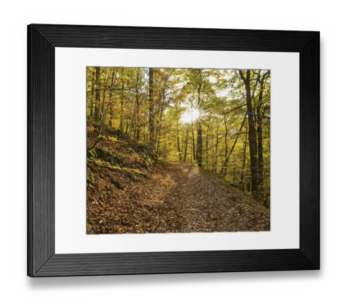 Framed Print : Waldweg in autumn, Kellerwald-Edersee National Park Framed Print : Waldweg in autumn, Kellerwald-Edersee National Park