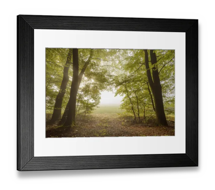 Framed Print : Forest edge with morning mist in autumn