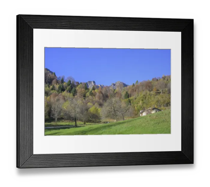 Framed Print : Autumn colours on the path of the big trees in the Piccolo Dolomiti Framed Print : Autumn colours on the path of the big trees in the Piccolo Dolomiti